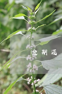 逾期还了四年半征信怎么显示