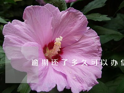 逾期还了多久可以办信用卡 逾期还了多久可以办信用卡