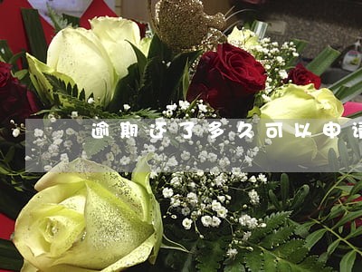 逾期还了多久可以申请信用卡
