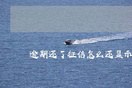 逾期还了征信怎么还显示没还 逾期还了征信怎么还显示没还