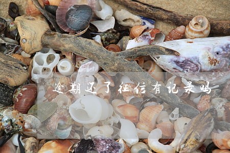 逾期还了征信有记录吗 逾期还了征信有记录吗