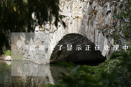 逾期还了显示正在处理中 逾期还了显示正在处理中