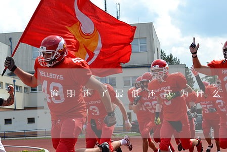 逾期还了最低还款为什么还打电话 逾期还了最低还款为什么还打电话