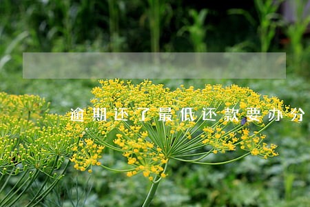 逾期还了最低还款要办分期吗