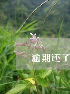逾期还了算失信人员吗 逾期还了算失信人员吗