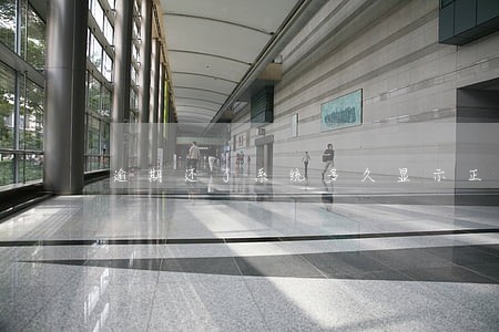 逾期还了系统多久显示正常