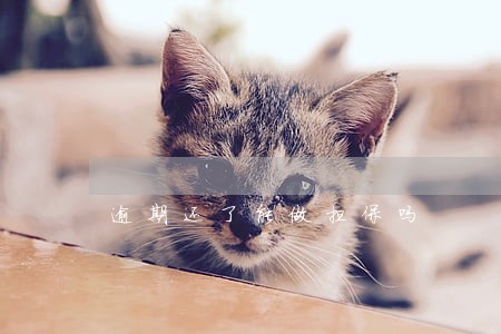 逾期还了能做担保吗 逾期还了能做担保吗