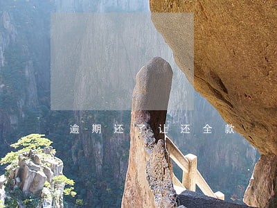 逾期还了让还全款 逾期还了让还全款