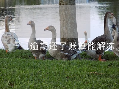 逾期还了账单能解冻 逾期还了账单能解冻