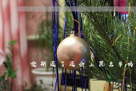 逾期还了还会上黑名单吗 逾期还了还会上黑名单吗