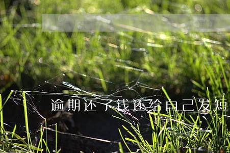 逾期还了钱还给自己发短信 逾期还了钱还给自己发短信