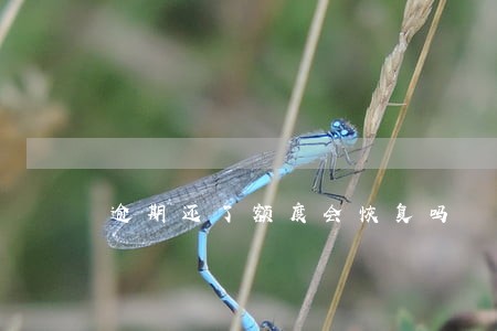 逾期还了额度会恢复吗 逾期还了额度会恢复吗