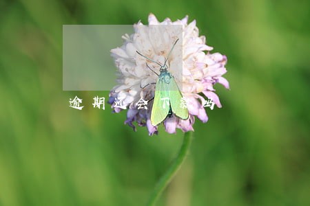 逾期还会下款吗 逾期还会下款吗