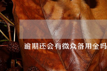 逾期还会有微众备用金吗 逾期还会有微众备用金吗