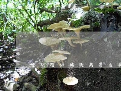 逾期还供楼款成黑名单怎样处理 逾期还供楼款成黑名单怎样处理
