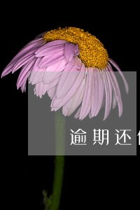 逾期还信用卡会影响征信吗 逾期还信用卡会影响征信吗