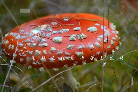 逾期还信用卡会怎么样 逾期还信用卡会怎么样