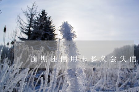 逾期还信用卡多久会失信 逾期还信用卡多久会失信