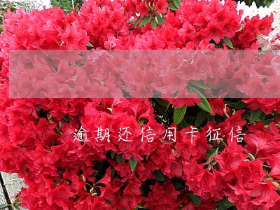 逾期还信用卡征信 逾期还信用卡征信