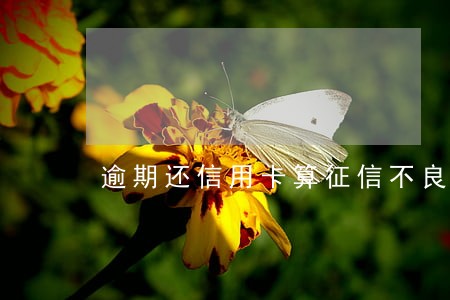 逾期还信用卡算征信不良吗