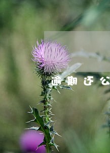 逾期还公务卡后果