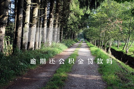逾期还公积金贷款吗 逾期还公积金贷款吗