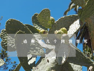 逾期还几个网贷想死 逾期还几个网贷想死