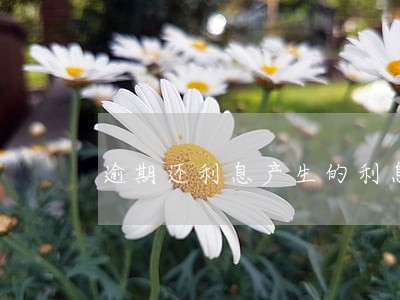 逾期还利息产生的利息计什么费用 逾期还利息产生的利息计什么费用
