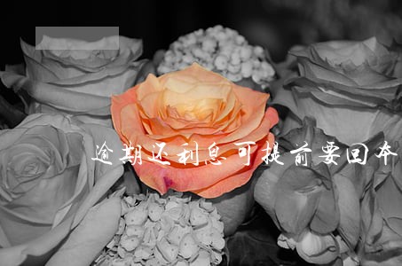 逾期还利息可提前要回本金嘛 逾期还利息可提前要回本金嘛