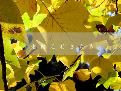 逾期还利息后果 逾期还利息后果
