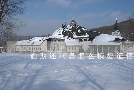 逾期还利息怎么恢复征信 逾期还利息怎么恢复征信
