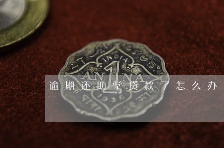 逾期还助学贷款了怎么办 逾期还助学贷款了怎么办