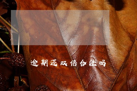 逾期还双倍合法吗 逾期还双倍合法吗