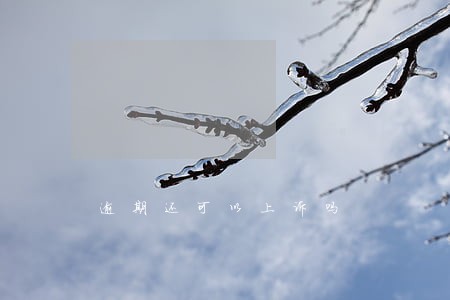 逾期还可以上诉吗 逾期还可以上诉吗