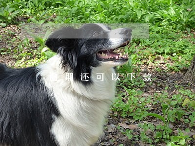 逾期还可以下款 逾期还可以下款