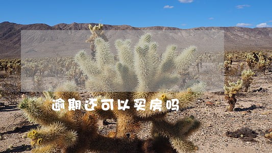 逾期还可以买房吗 逾期还可以买房吗