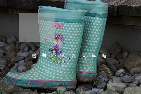 逾期还可以买车吗 逾期还可以买车吗
