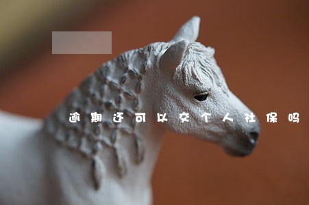 逾期还可以交个人社保吗 逾期还可以交个人社保吗