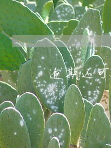 逾期还可以借款的平台 逾期还可以借款的平台