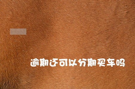 逾期还可以分期买车吗 逾期还可以分期买车吗