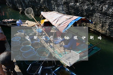 逾期还可以办理分期吗