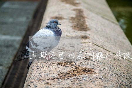 逾期还可以在叫银行修改电话 逾期还可以在叫银行修改电话