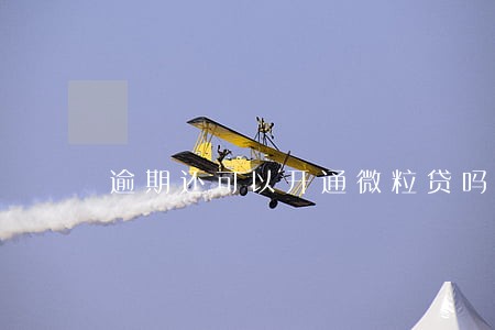 逾期还可以开通微粒贷吗 逾期还可以开通微粒贷吗