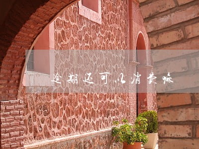 逾期还可以消费嘛 逾期还可以消费嘛