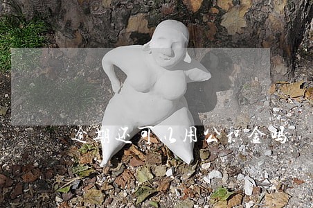 逾期还可以用公积金吗 逾期还可以用公积金吗