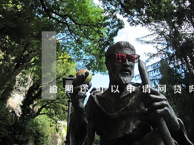 逾期还可以申请网贷吗 逾期还可以申请网贷吗