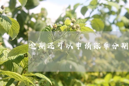 逾期还可以申请账单分期吗