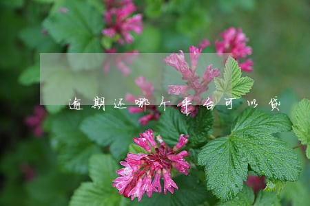 逾期还哪个平台可以贷 逾期还哪个平台可以贷