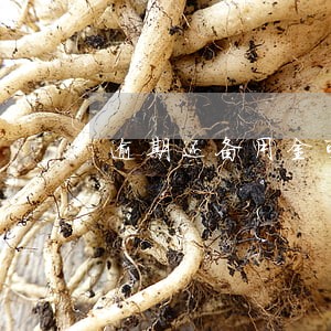 逾期还备用金可以吗 逾期还备用金可以吗