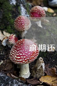 逾期还多少次入入黑名单 逾期还多少次入入黑名单